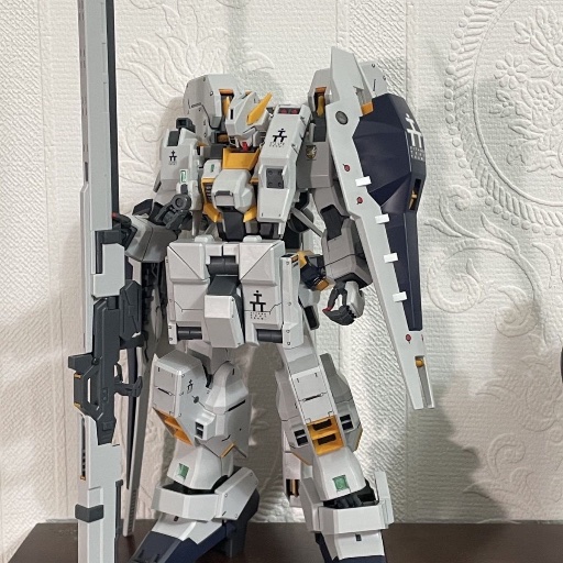 AOZ TR1 MG  1/100 full amour